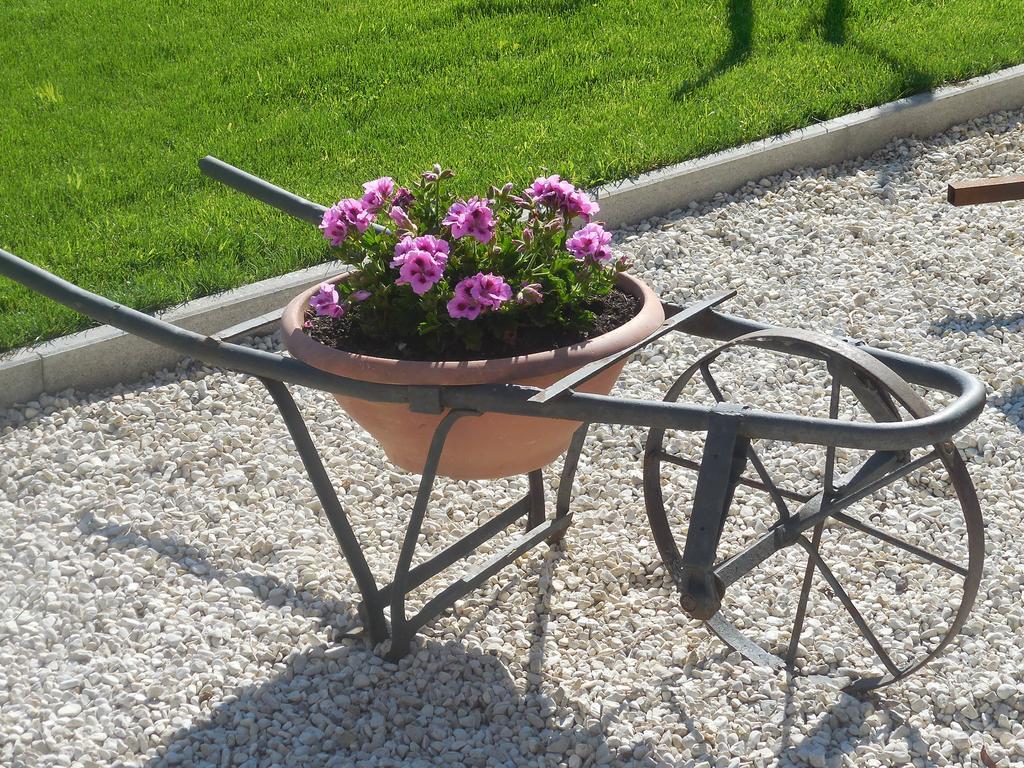 אורביאטו B&B La Casetta Dei Nonni מראה חיצוני תמונה